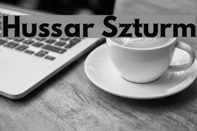 Hussar Szturm Font examples