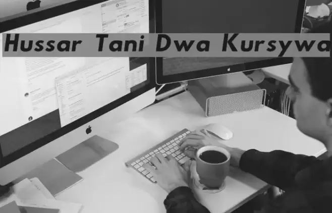 Hussar Tani Dwa Kursywa Font examples