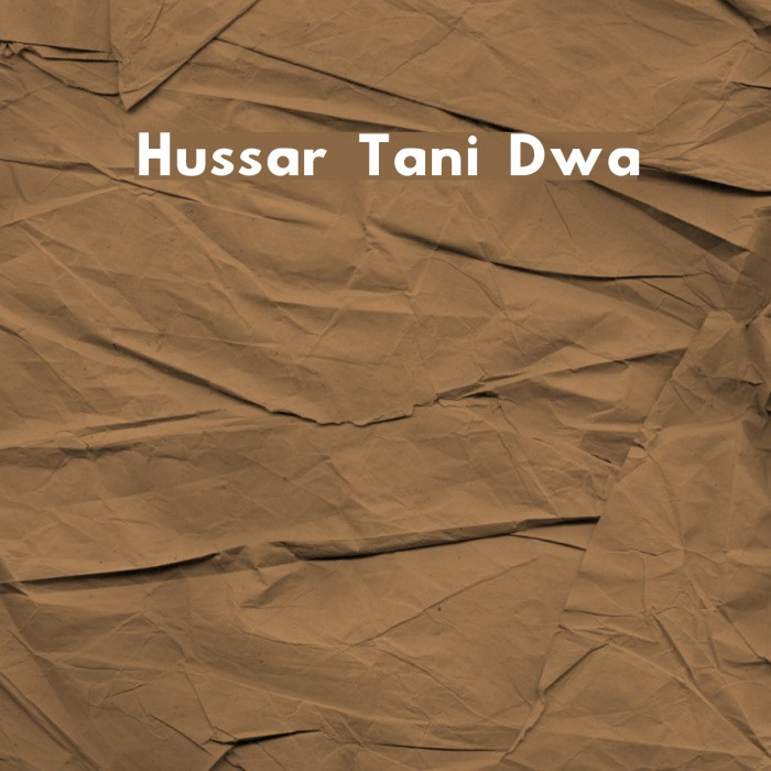 Hussar Tani Dwa Example 1