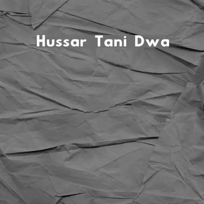 Hussar Tani Dwa Font examples