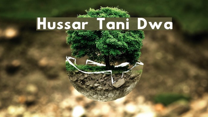 Hussar Tani Dwa Example 2