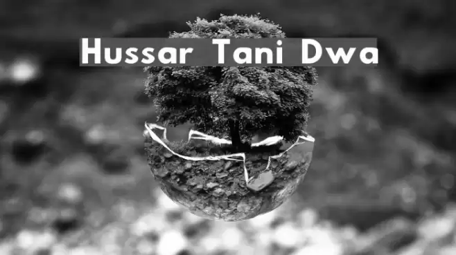 Hussar Tani Dwa Font examples