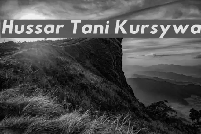 Hussar Tani Kursywa Font examples