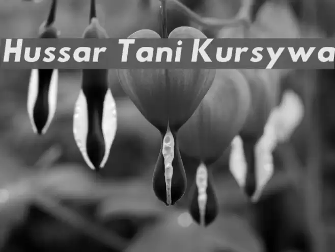 Hussar Tani Kursywa Font examples