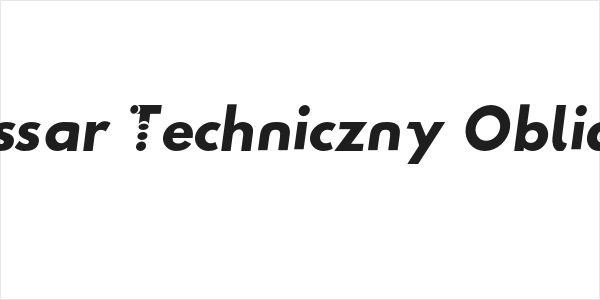 Hussar Techniczny Oblique Logo