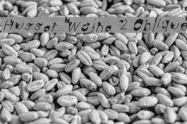 Hussar Wojna 2 Oblique Font examples