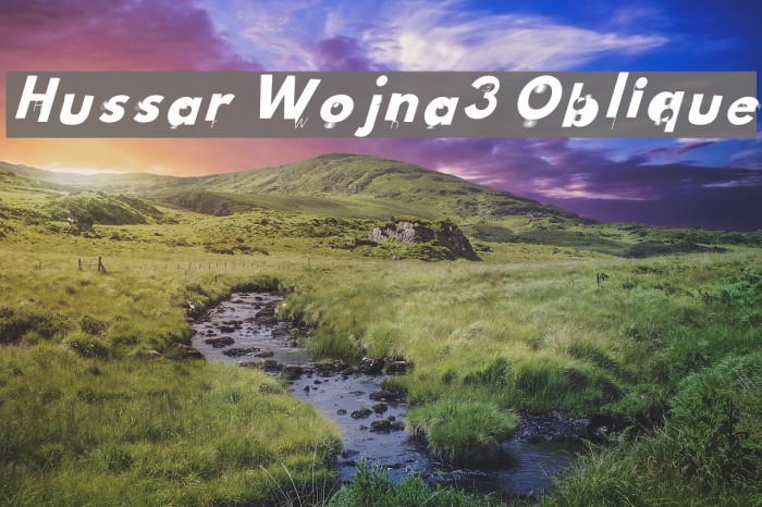 Hussar Wojna3 Oblique Font examples