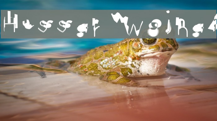 Hussar Wojna4 Example 1