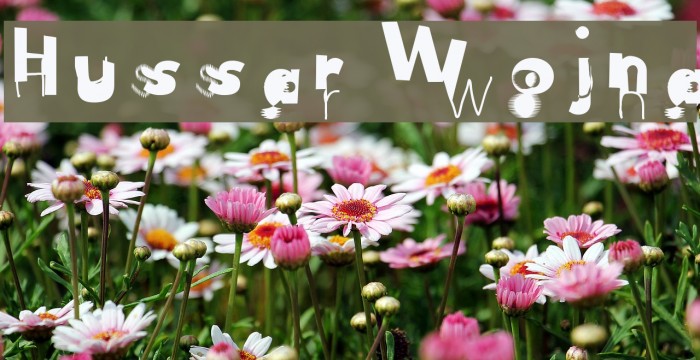 Hussar Wojna Example 2