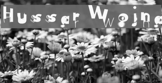 Hussar Wojna Font examples