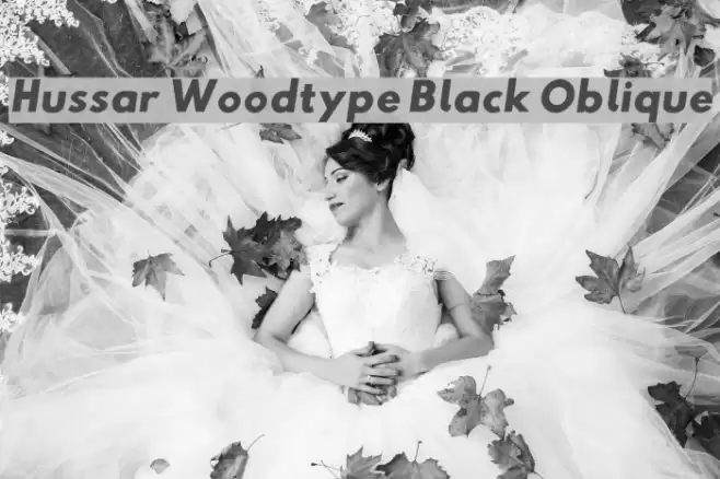 Hussar Woodtype Black Oblique Font examples