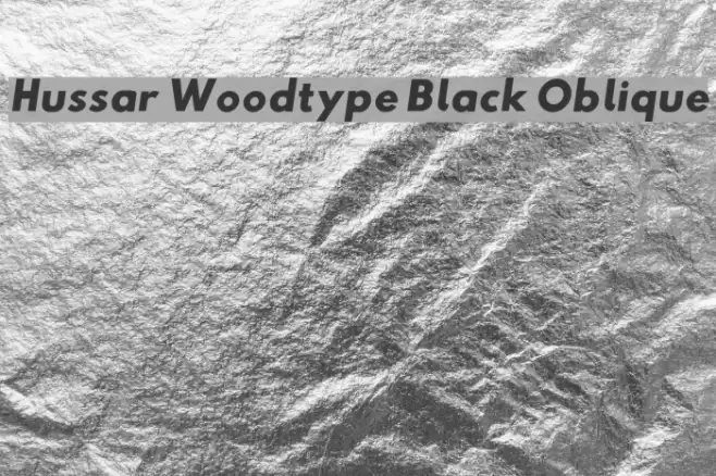 Hussar Woodtype Black Oblique Font examples