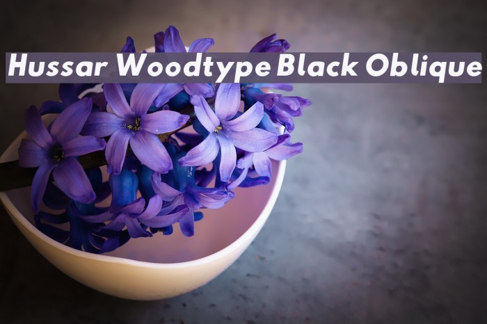 Hussar Woodtype Black Oblique Font examples