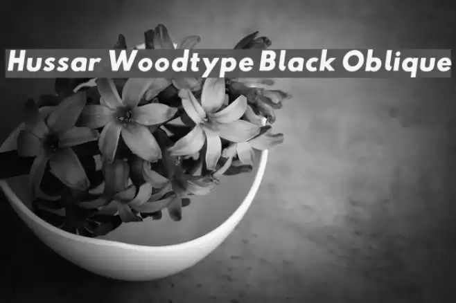 Hussar Woodtype Black Oblique Font examples