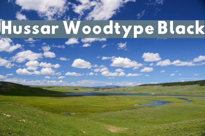 Hussar Woodtype Black Font examples