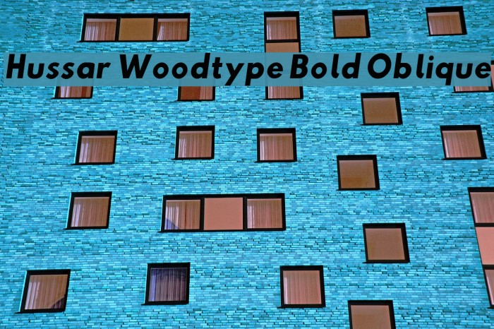 Hussar Woodtype Bold Oblique Font examples