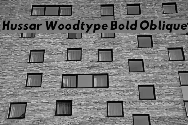 Hussar Woodtype Bold Oblique Шрифта examples