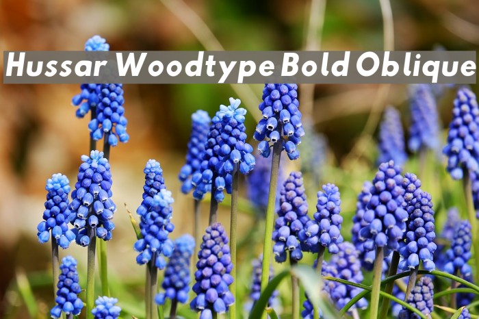 Hussar Woodtype Bold Oblique Font examples