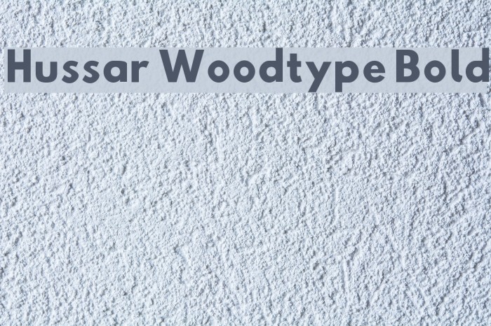 Hussar Woodtype Bold Font examples