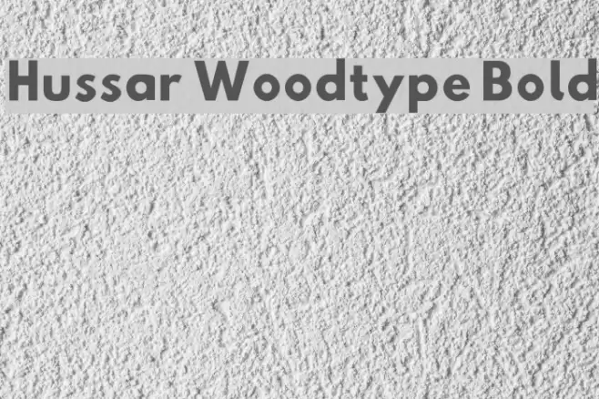 Hussar Woodtype Bold Font examples