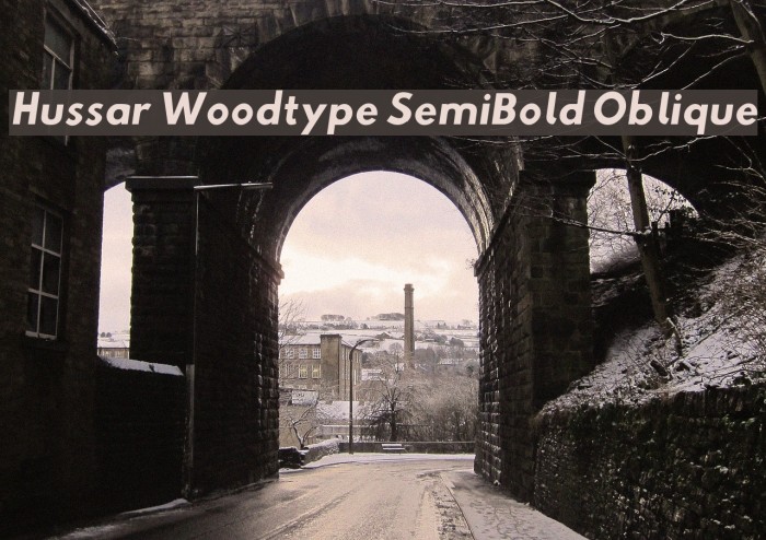Hussar Woodtype SemiBold Oblique Font examples