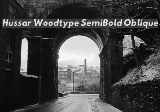 Hussar Woodtype SemiBold Oblique Font examples