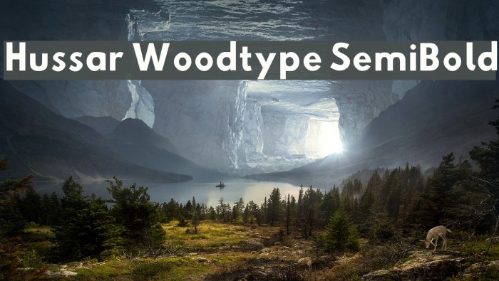 Hussar Woodtype SemiBold Example 2