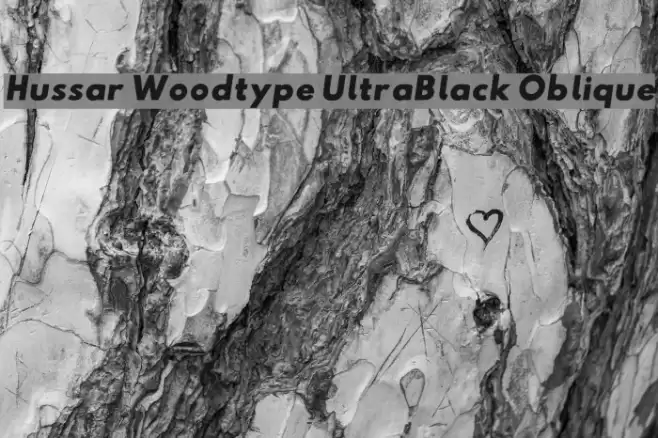 Hussar Woodtype UltraBlack Oblique Font examples