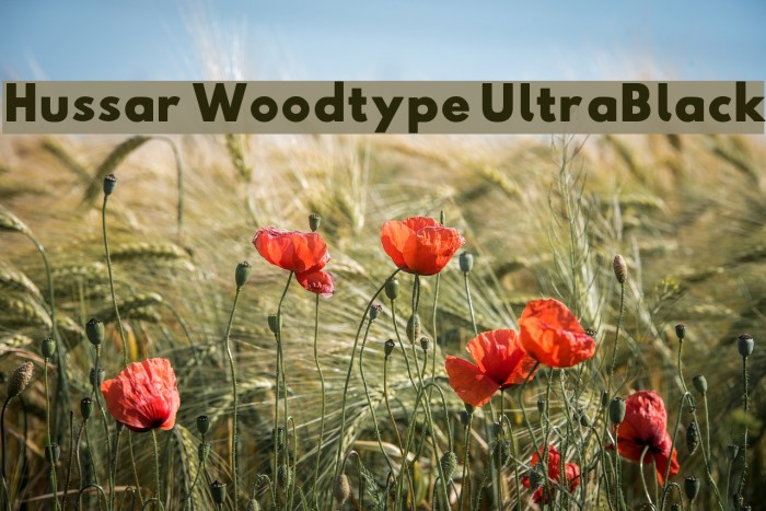 Hussar Woodtype UltraBlack Font examples