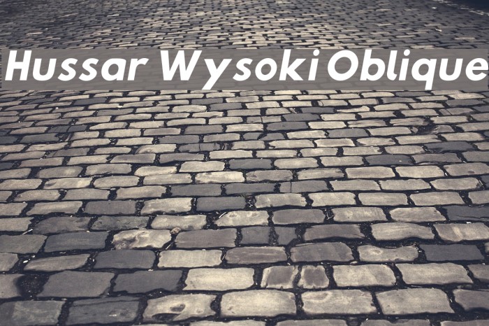 Hussar Wysoki Oblique Font examples