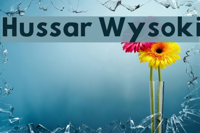 Hussar Wysoki Font examples