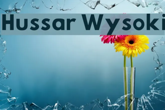 Hussar Wysoki Example 1