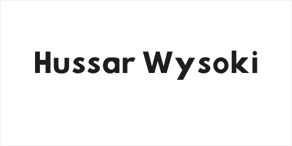 Hussar Wysoki Logo