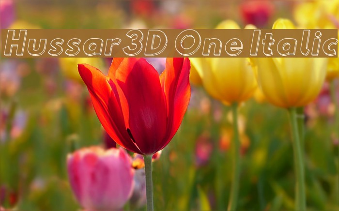 Hussar3D One Italic Font examples