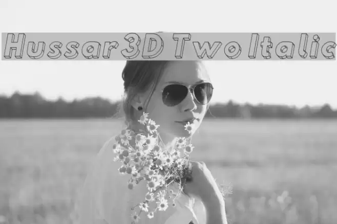 Hussar3D Two Italic Font examples