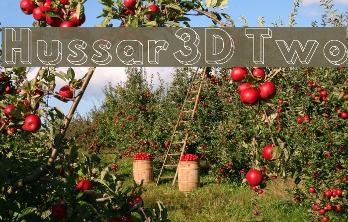 Hussar3D Two Font examples
