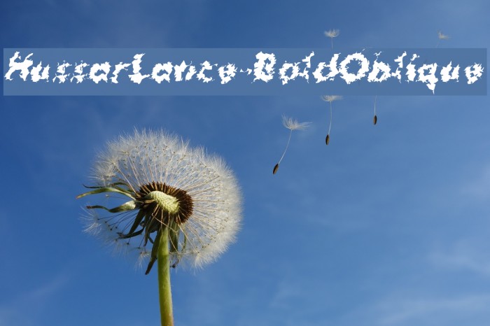 HussarLance-BoldOblique Example 1