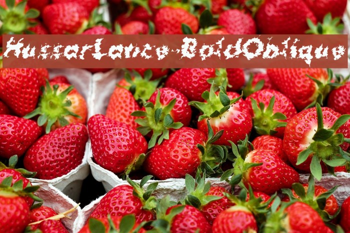 HussarLance-BoldOblique Example 2