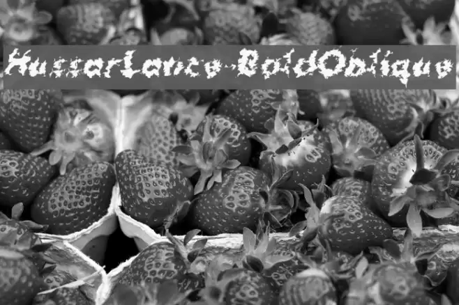 HussarLance-BoldOblique Font examples