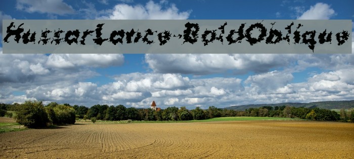 HussarLance-BoldOblique Example 3