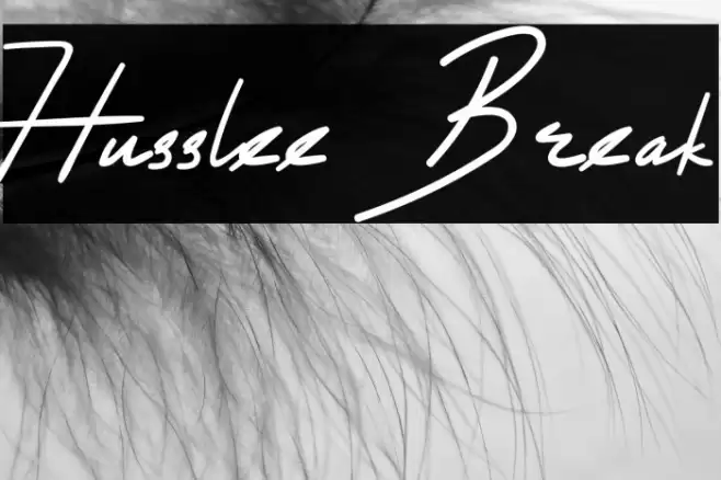 Husslee Break Font examples