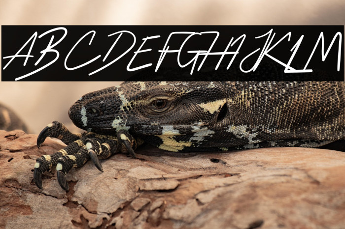 HussleeBreakRegular Example 1