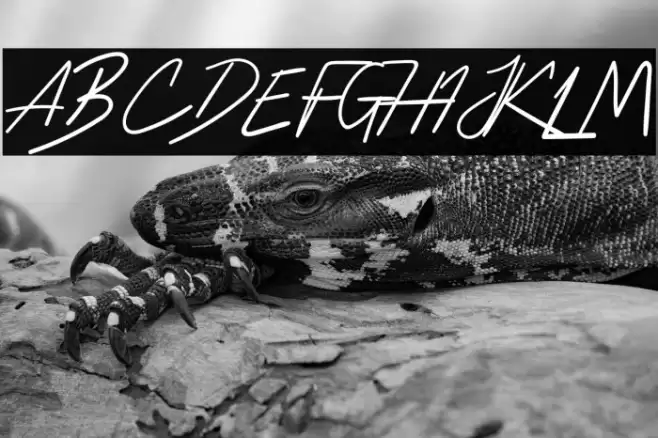 HussleeBreakRegular Шрифта examples