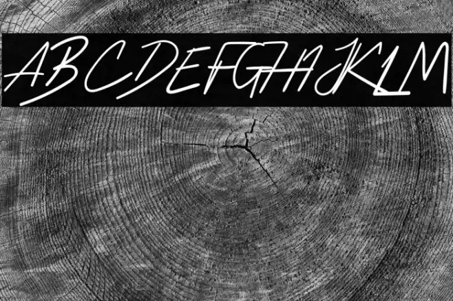 HussleeBreakRegular Шрифта examples