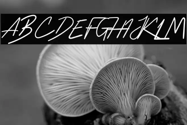 HussleeBreakRegular Шрифта examples