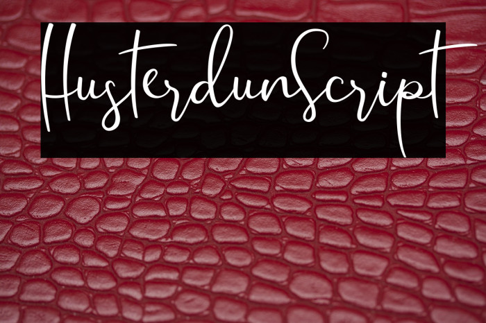 HusterdunScript Example 1