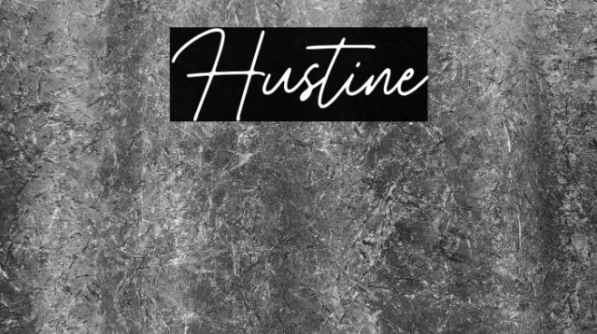 Hustine Example 1