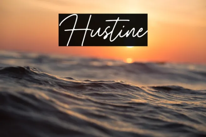 Hustine Example 2