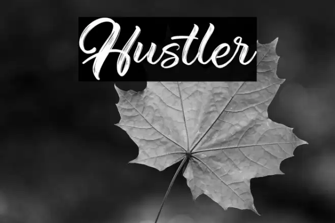 Hustler Font examples