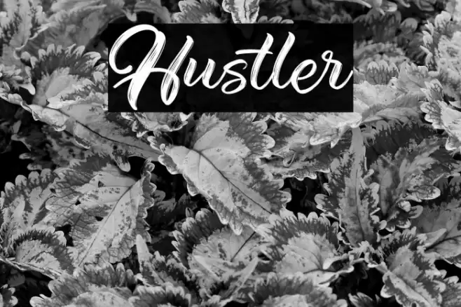 Hustler Font examples